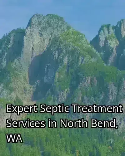 Expert Septic Treatment Services in North Bend, WA
