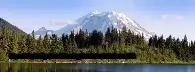 Expert Septic System Cleaning Services in Auburn, WA