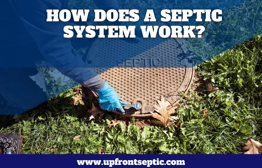How Does a Septic System Work?