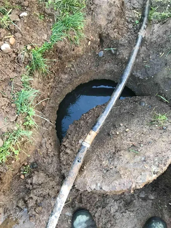 Septic System Repair & Sump Pump Line Replacement in Tacoma