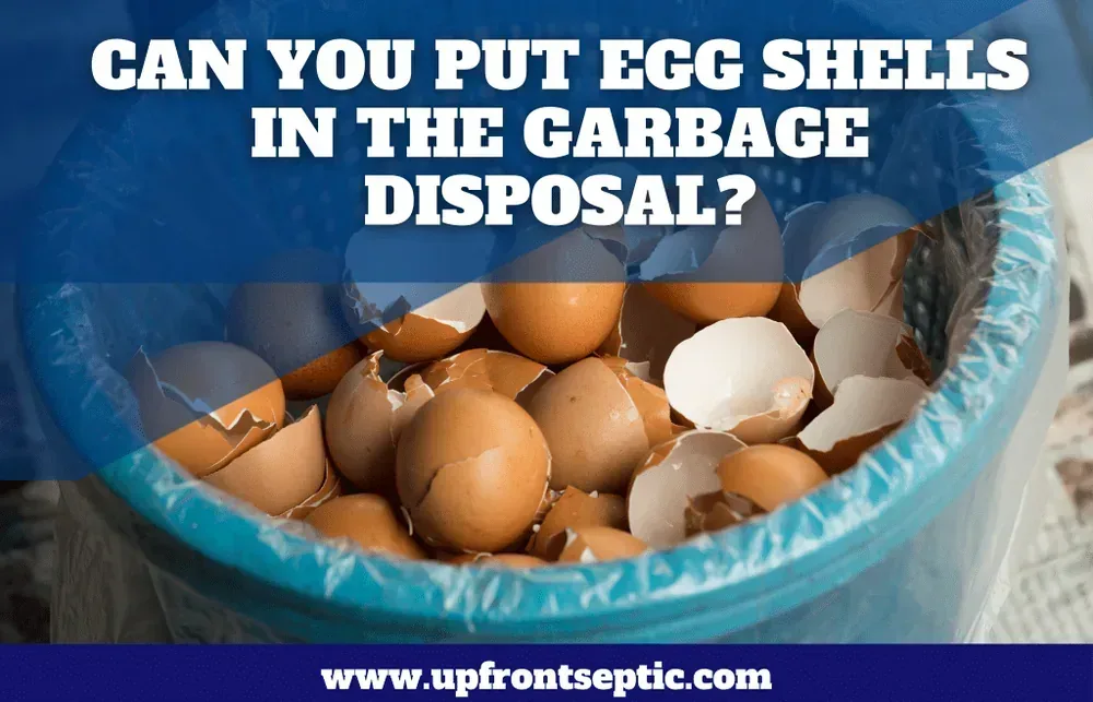 Can You Put Egg Shells in the Garbage Disposal? The Short Answer