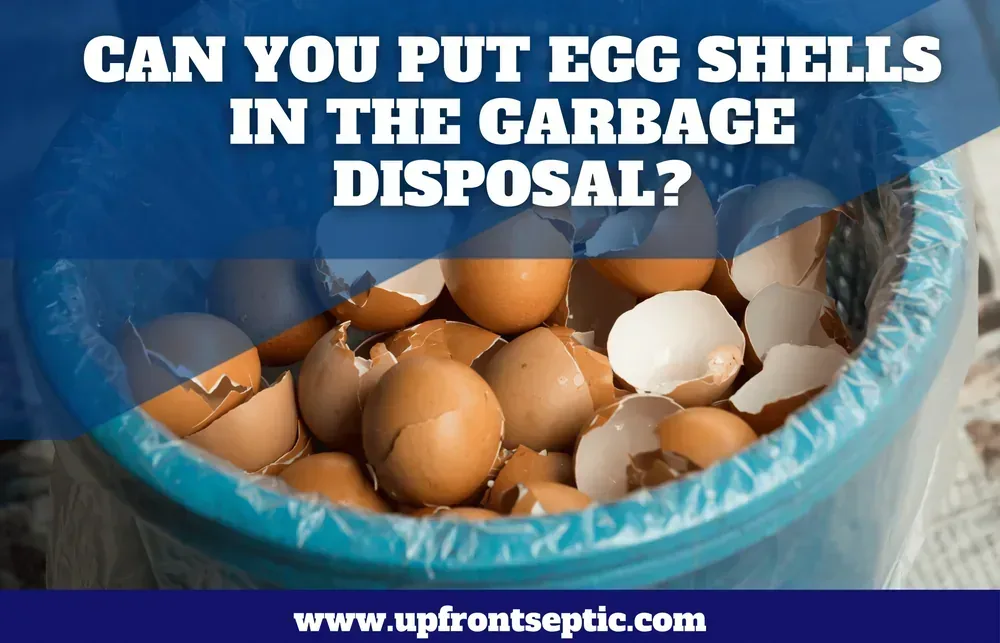 Can You Put Egg Shells in the Garbage Disposal?