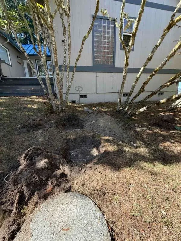 The excavated area beside the house, with a concrete lid in the foreground.