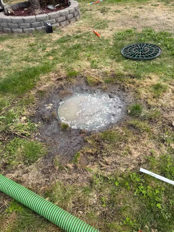 Effluent standing at ground level in the lawn beside one of the riser lids.