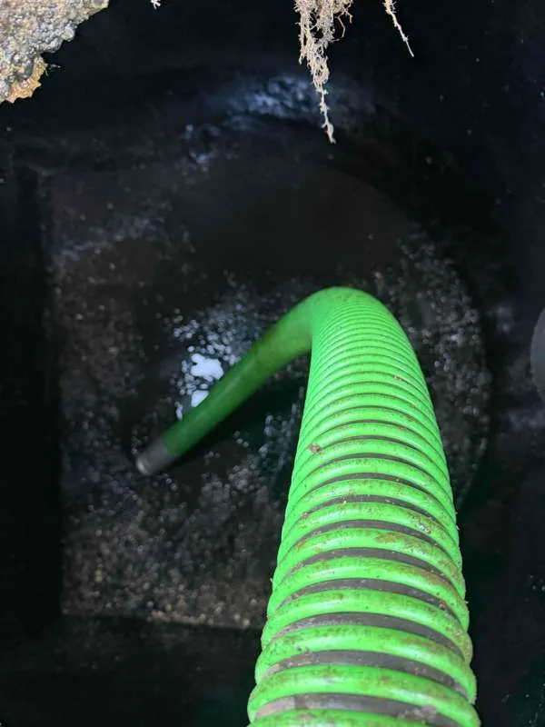 The suction hose down inside the tank during pumping, with roots hanging at the top of the opening.
