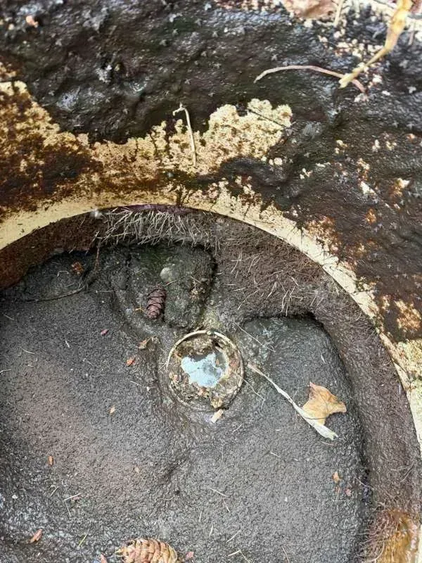 Heavy crust across the surface inside the tank, with root growth around the riser joint.