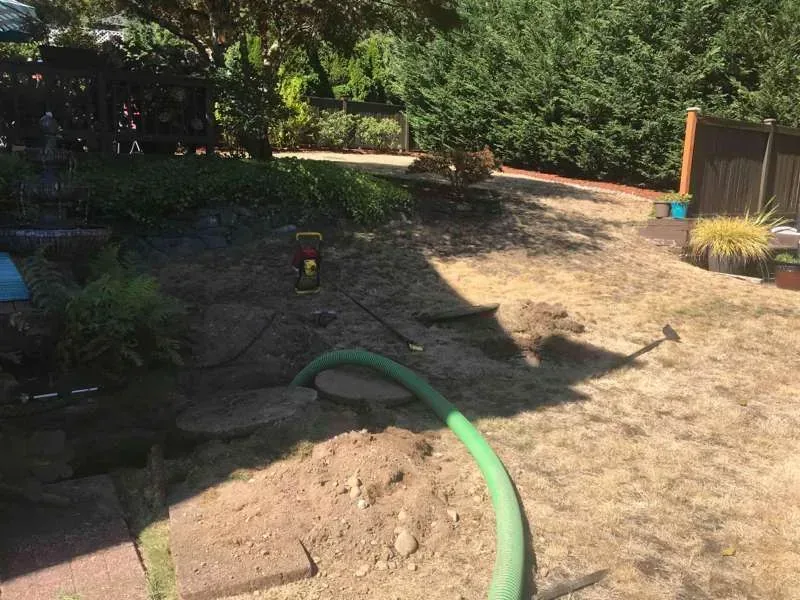 The back garden with the tank lids exposed and the suction hose run out across the lawn.
