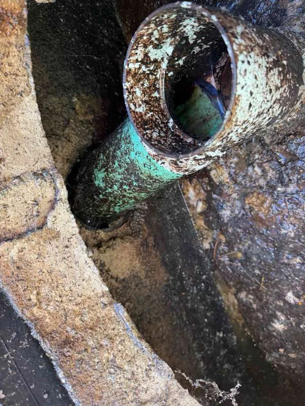 The gap found where the mainline pipe enters the trash tank, alongside the inlet baffle.