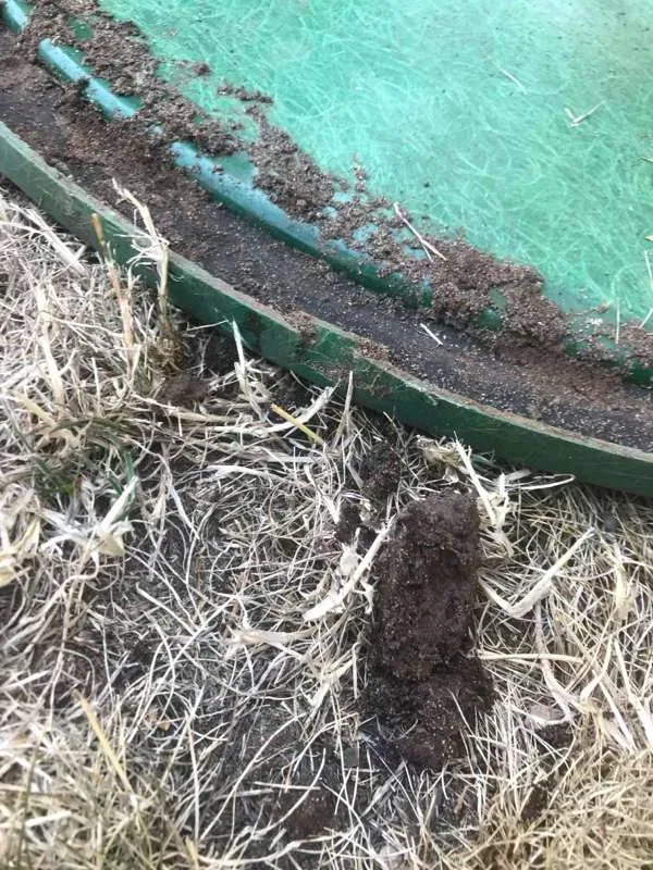 A close view of a tank lid edge where it meets the ground.