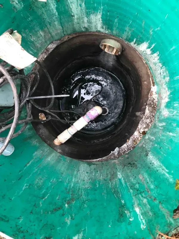 The pump basin opened, showing the pump, its float and the wiring above the remaining effluent.
