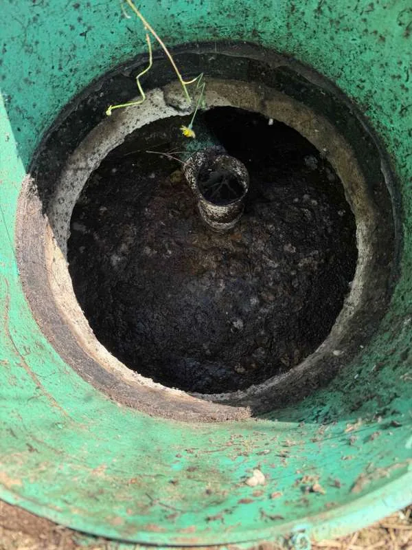Looking down into a tank at the crusted surface before it was broken up.