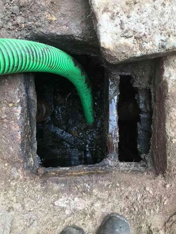 Both compartments open, with the suction hose working in the near one.