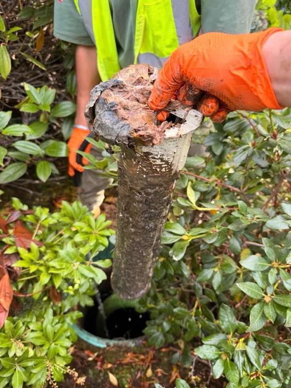 The outlet baffle filter lifted out of the riser, caked with solids.