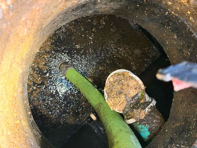 Inside the flooded tank, the suction hose alongside the outlet baffle filter housing.