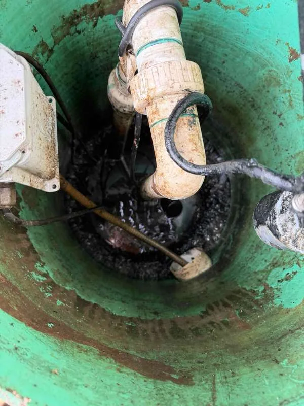 Looking down into the pump chamber at the float switches, discharge piping and control wiring.