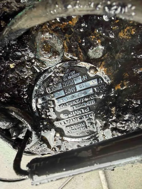The pump's nameplate, identifying it as a thermally protected submersible sewage pump.