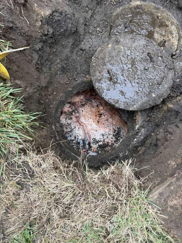 A compartment opened up, showing the heavy crust of accumulated solids across the surface.