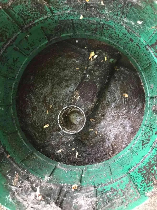 Looking down a riser at the crusted surface of the tank before pumping.
