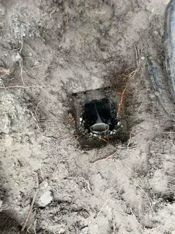 The outlet access, the one point without a riser, opened by hand with root growth around the opening.
