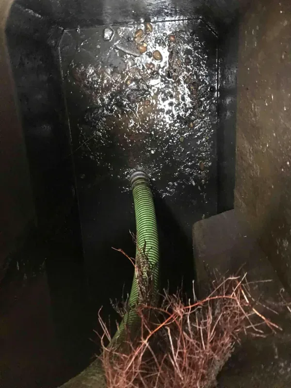 A hose run down the inside of the tank against the stained concrete wall, roots at the edge of the opening.