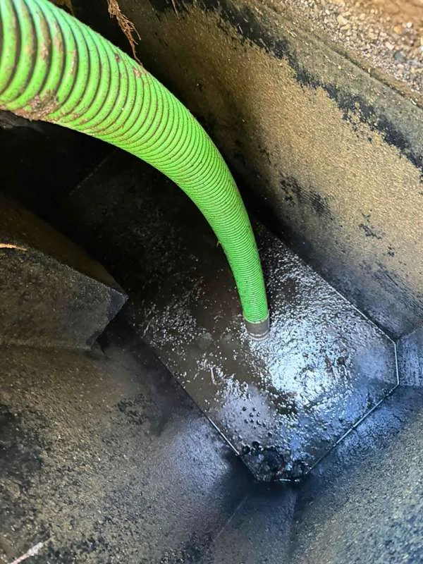 The suction hose run down through an access opening into the tank, with the scum line visible on the wall.