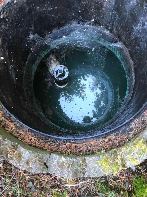 Looking down a riser at standing water, with a pipe fitting above the waterline.