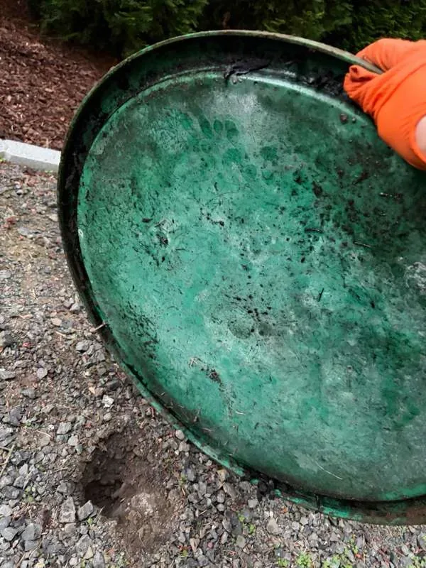 The underside of a lid lifted clear of its riser.