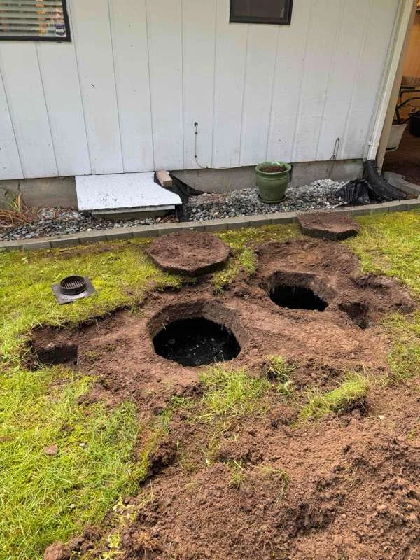 Both tank access points dug out in the lawn beside the house, the lids lifted clear onto the grass.