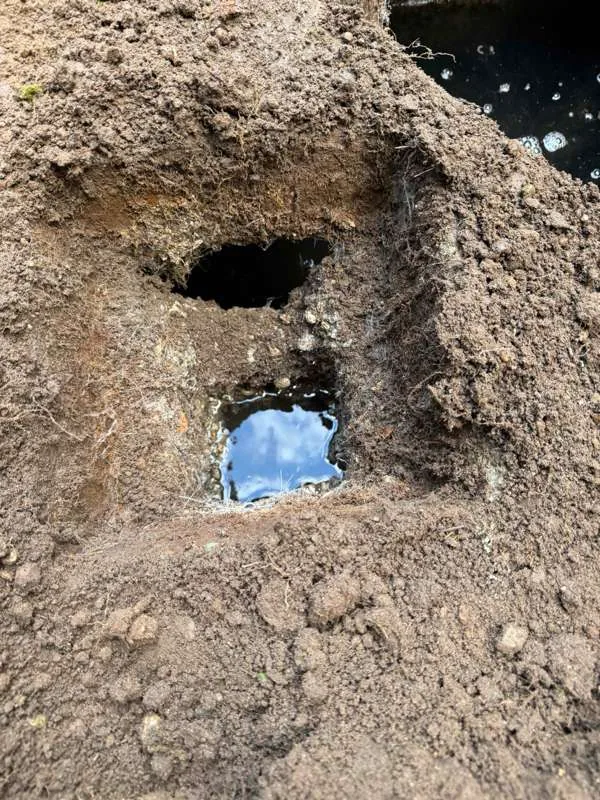 Dug in against the tank wall, with two openings showing below the grass line.