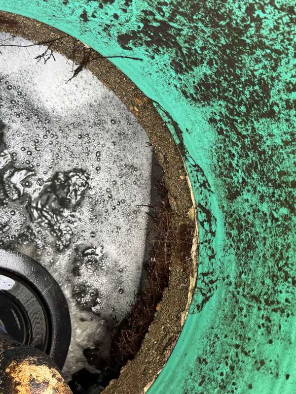 Roots growing in at the edge of a tank opening, with foam on the liquid surface below.