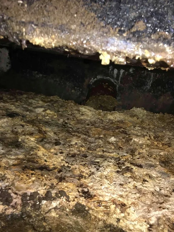 Inside the tank, looking along the divider wall above the built-up crust.
