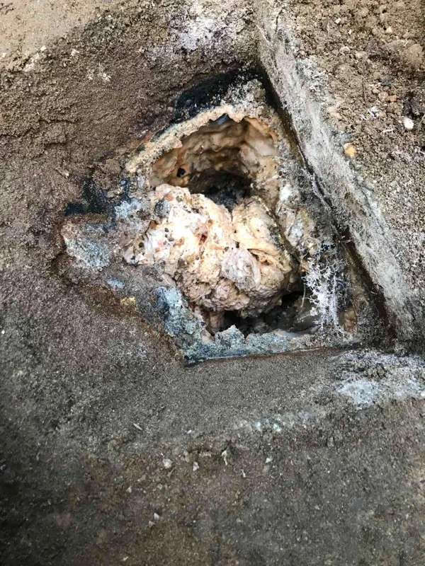 A mass of pale fibrous debris packed into an opening in the tank wall.