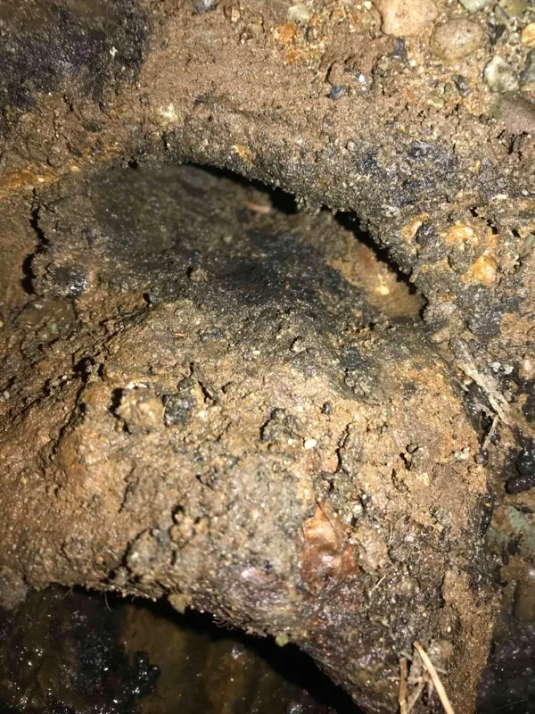 A close-up of a pipe connection packed around with soil.