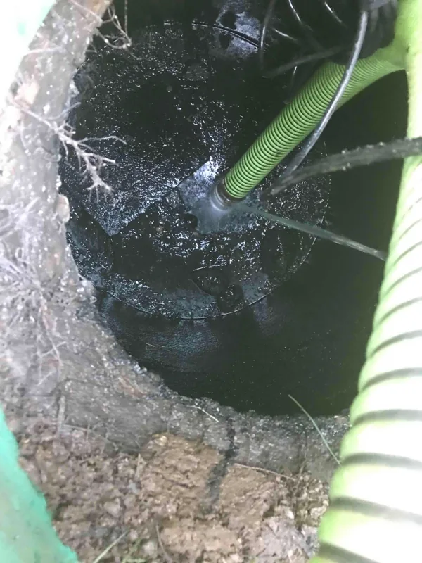 Looking down a riser at the lid below, with roots coming through the riser wall and the suction hose run down past it.