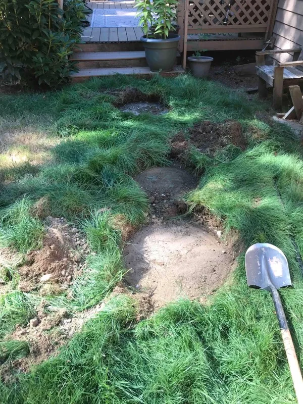 The back lawn with the sod cut back at each access point and a shovel resting beside one of them.