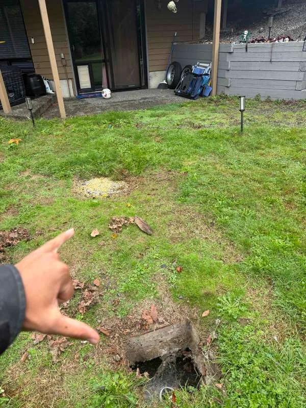 A technician pointing out an open access opening in the back lawn.