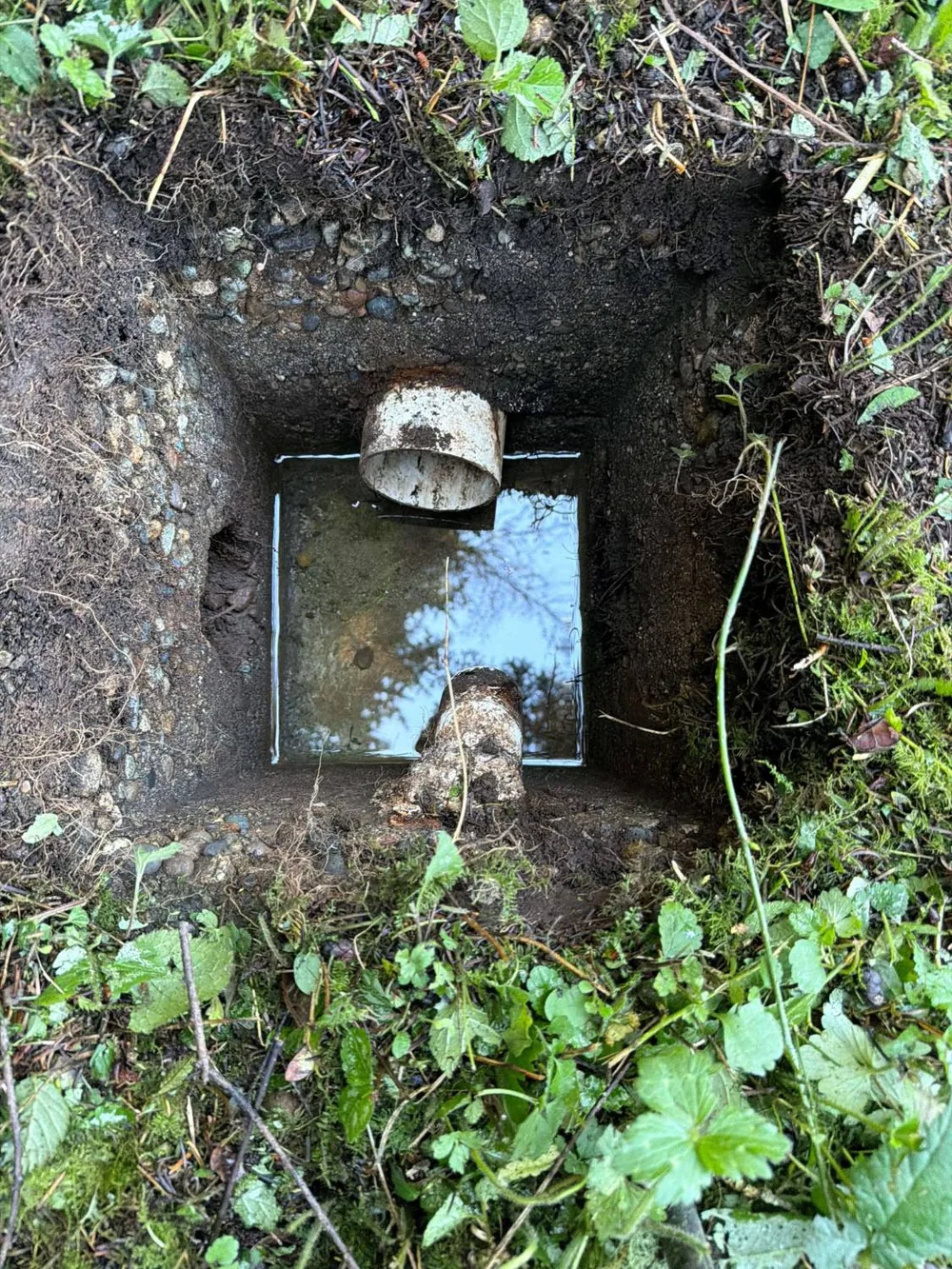 The distribution box dug out at the back of the property, with soil in its channels and water standing in it.