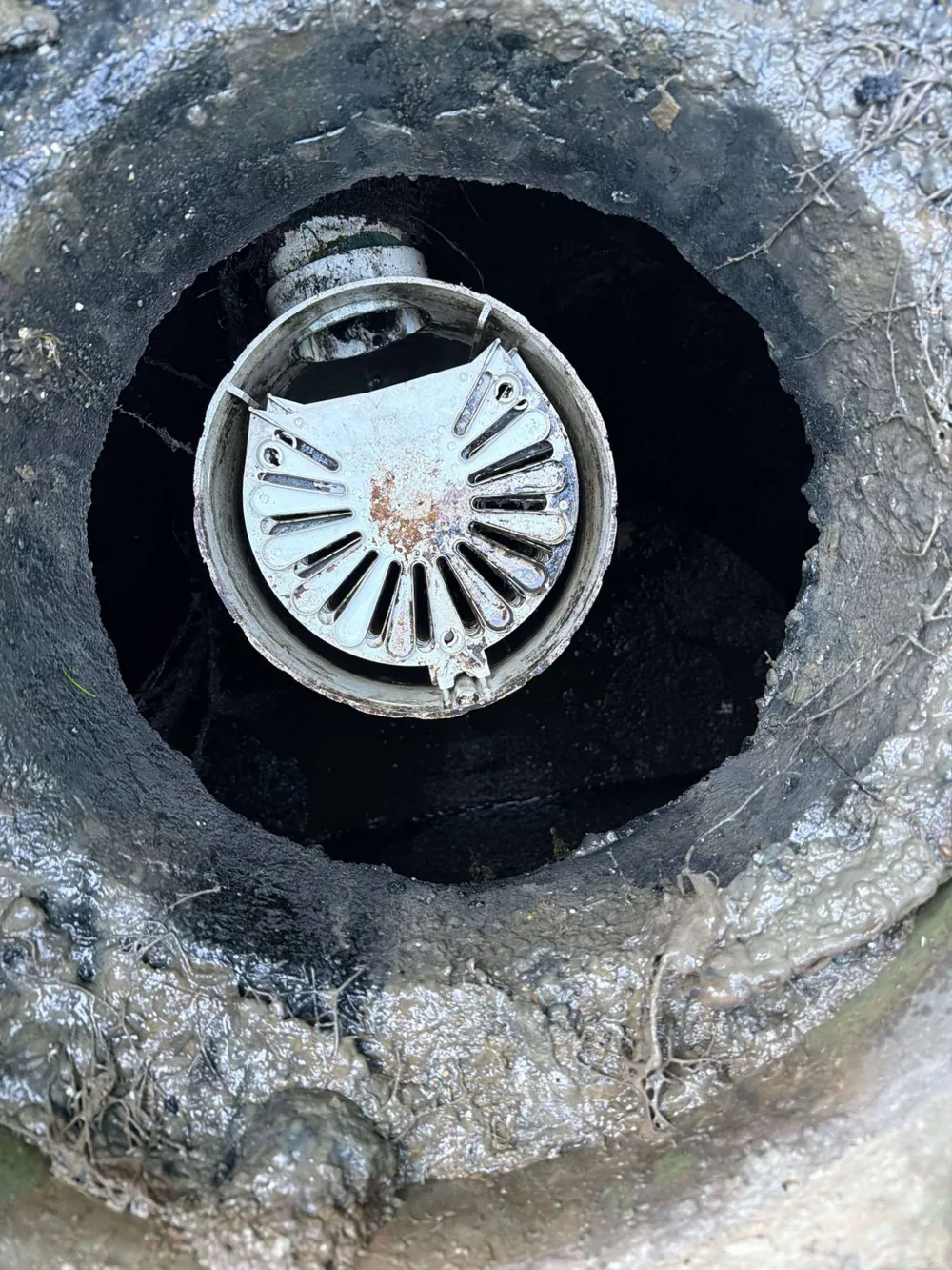 Looking down into the tank at the slotted filter cartridge in its housing.