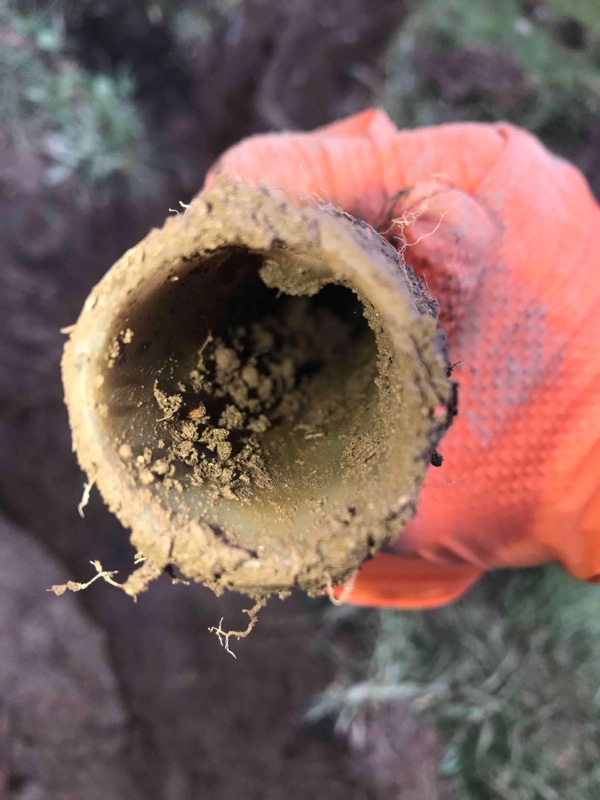 Septic System Repair & Sump Pump Line Replacement