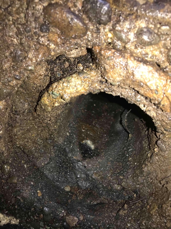 Septic System Inspection, Pumping & Excavation Project in Kent, WA